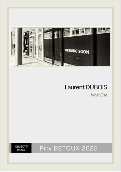 Portfolio Laurent Dubois