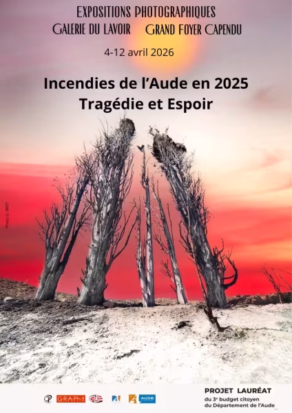 Affiche - Incendies